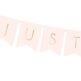 just-married-banner-15-x-155-cm-lys-rosa-GRL68-081J-d